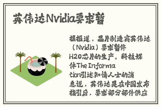 欧美vpswindows极品